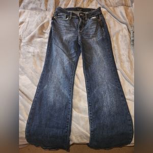 Judy Blue jeans dark wash size 5/27